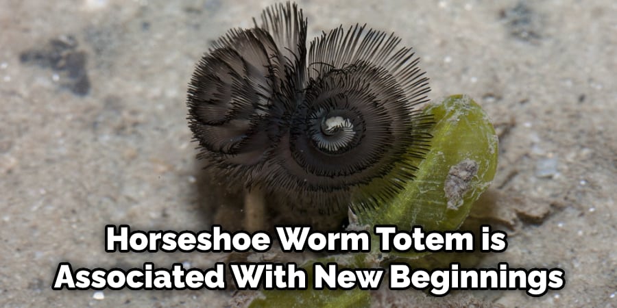 Horseshoe Worm Totem is Associated With New Beginnings
