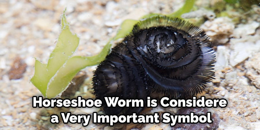 Horseshoe Worm is Considered a Very Important Symbol