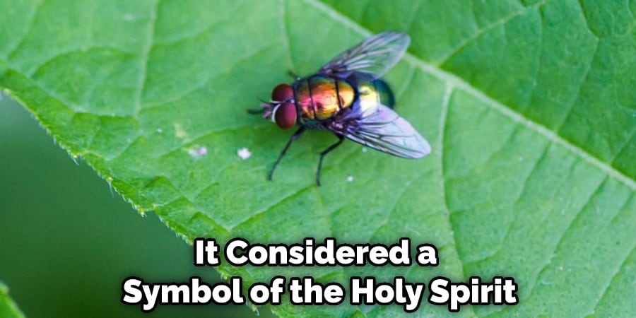 It Considered a Symbol of the Holy Spirit