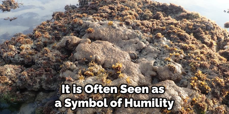 It is Often Seen as a Symbol of Humility