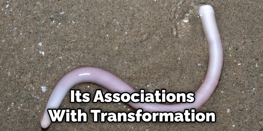  Its Associations With Transformation