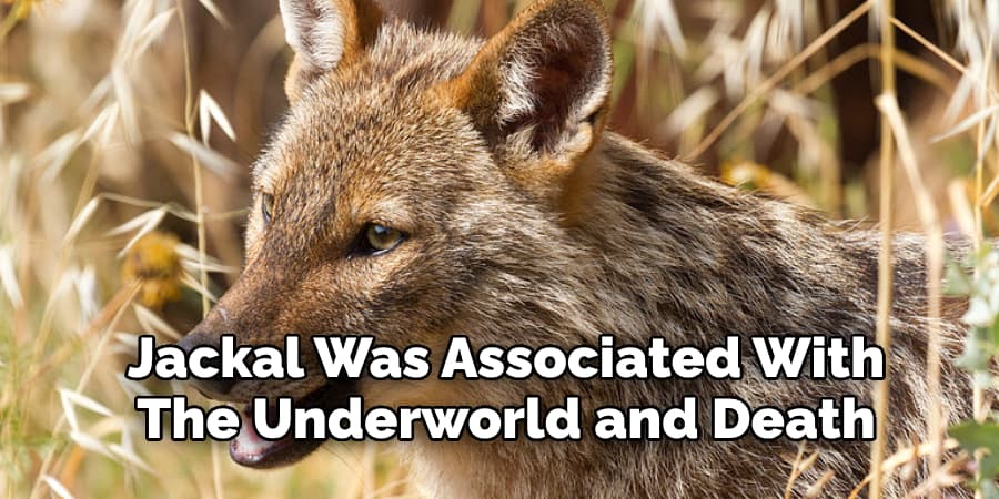 Jackal Was Associated With  The Underworld and Death