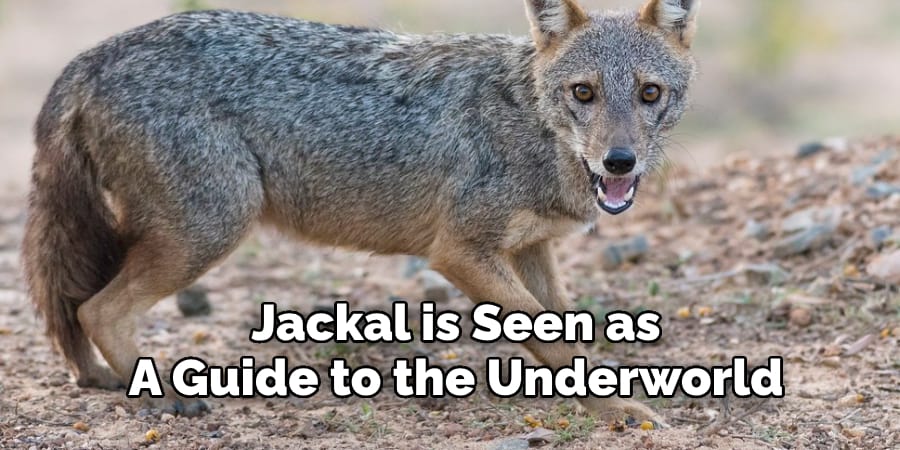 Jackal is Seen as A Guide to the Underworld