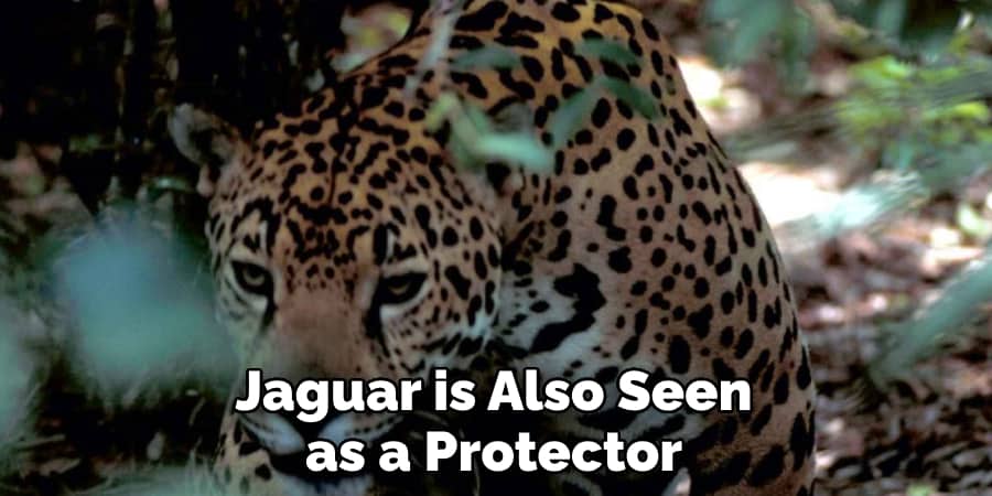 Jaguar is Also Seen as a Protector