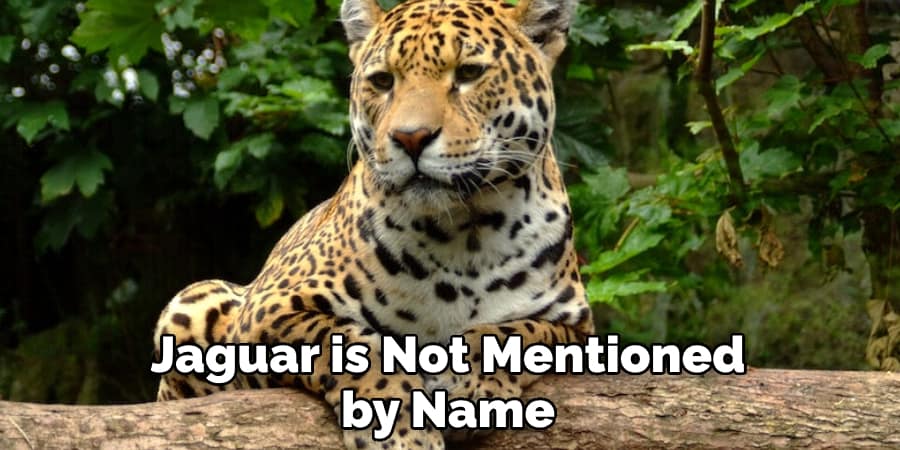 Jaguar is Not Mentioned by Name