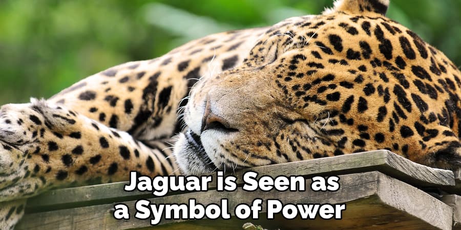 Jaguar is Seen as a Symbol of Power