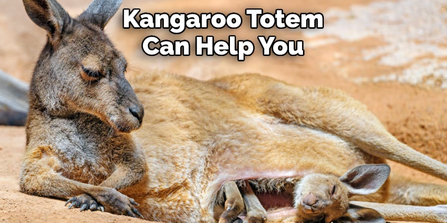 Kangaroo Totem  Can Help You