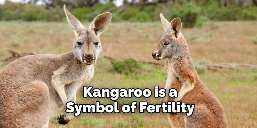 Kangaroo is a  Symbol of Fertility