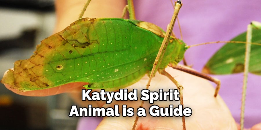 Katydid Spirit  Animal is a Guide
