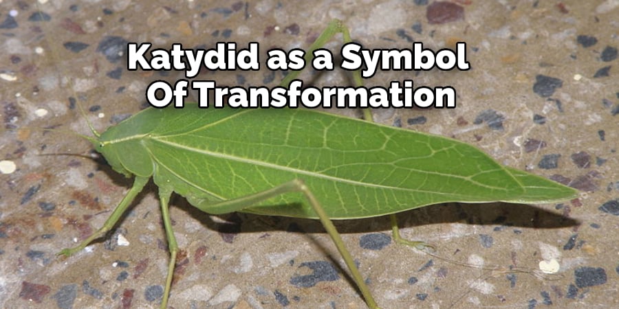 Katydid as a Symbol  Of Transformation