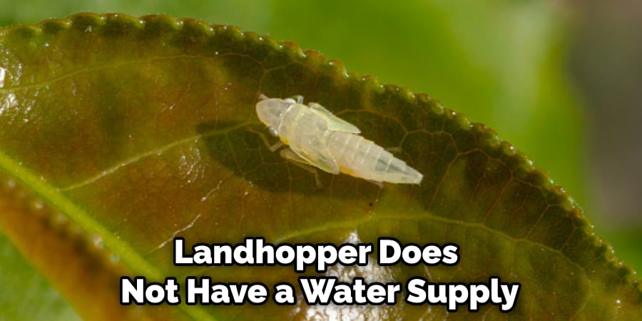 Landhopper Does Not Have a Water Supply