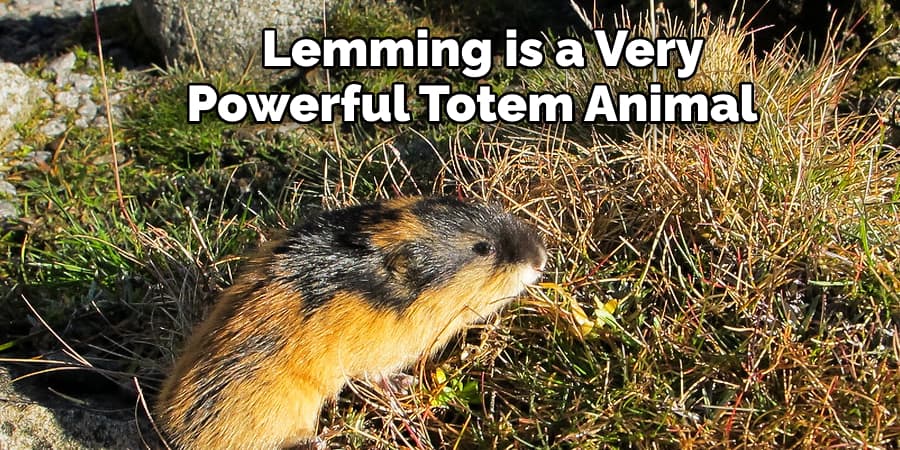  Lemming is a Very  Powerful Totem Animal 