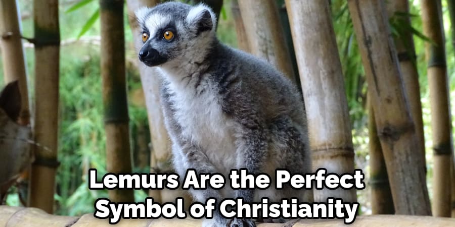 Lemurs Are the Perfect Symbol of Christianity