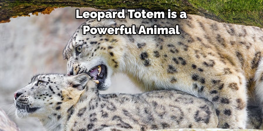 Leopard Totem is a Powerful Animal