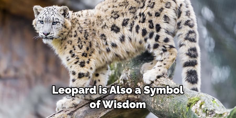 Leopard is Also a Symbol of Wisdom