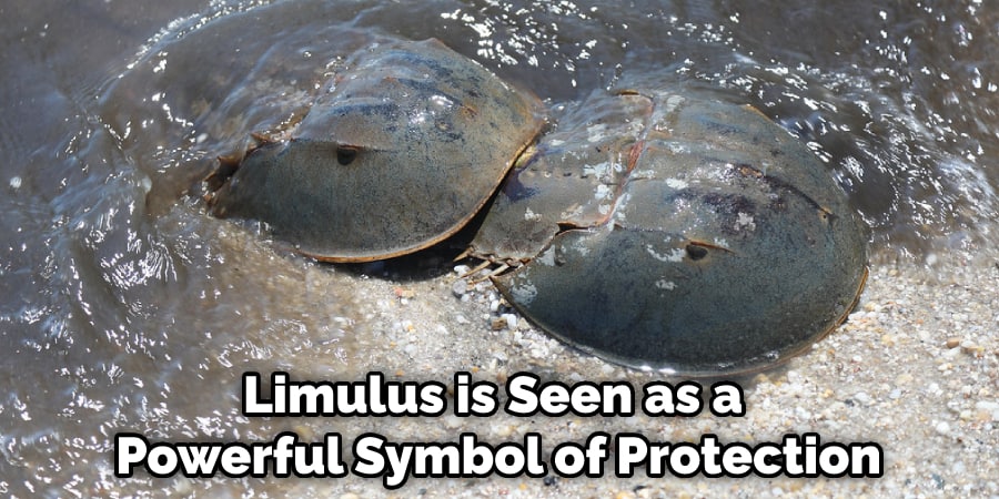 Limulus is Seen as a Powerful Symbol of Protection