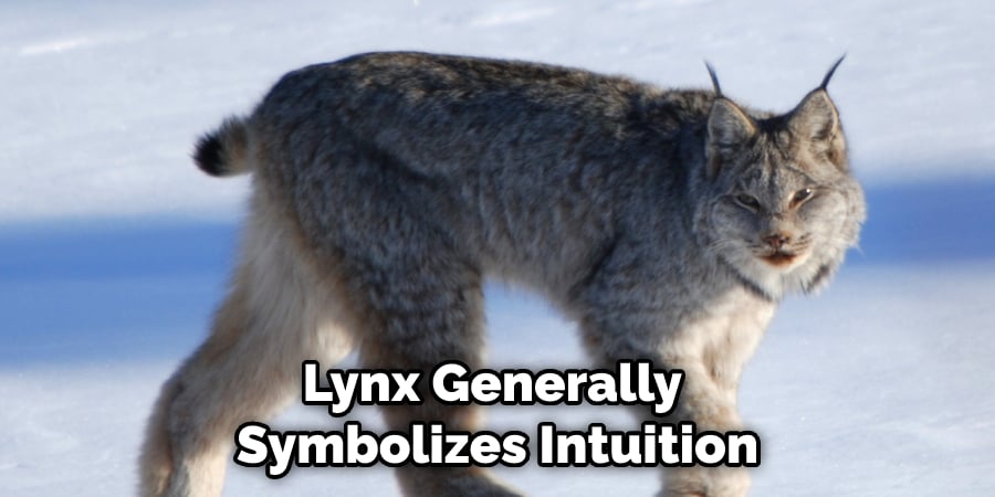lynx symbolizes innocence