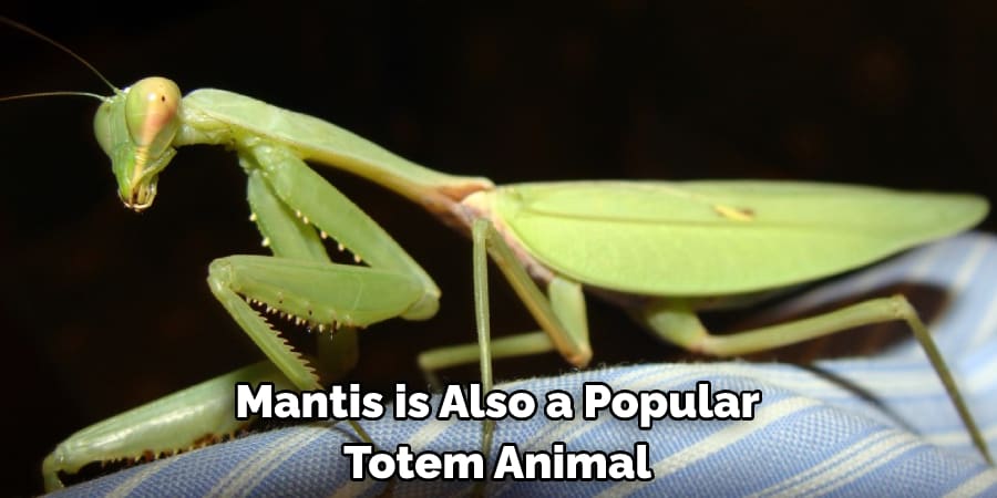 Mantis is Also a Popular Totem Animal