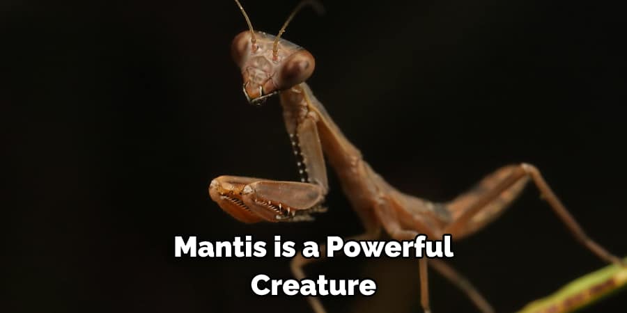 Mantis is a Powerful Creature