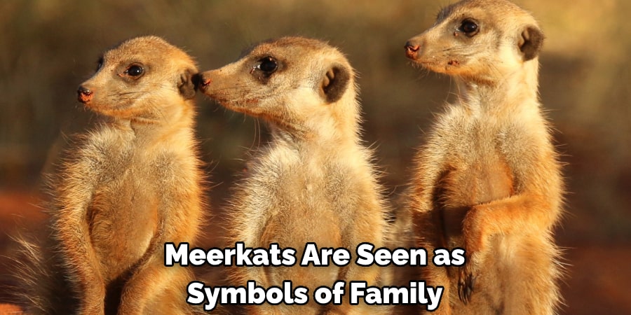 Meerkats Are Seen as Symbols of Family