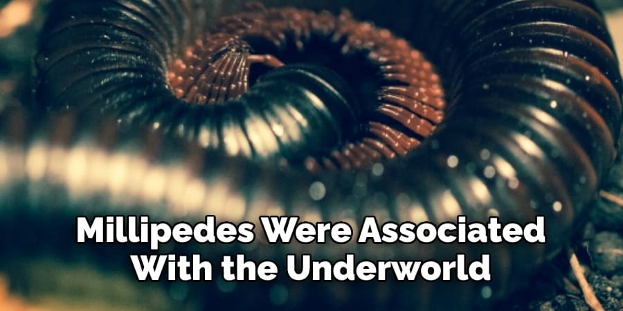 Millipedes Were Associated With the Underworld