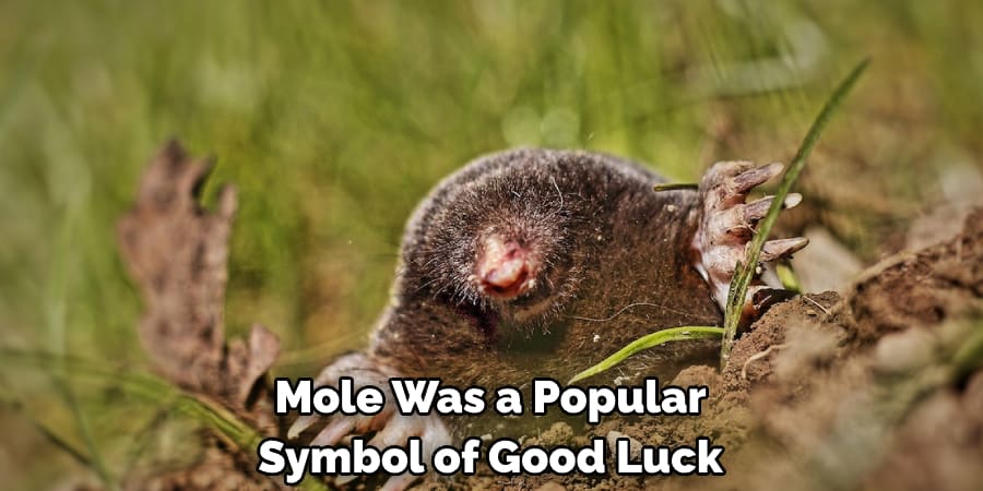 Mole Was a Popular  Symbol of Good Luck