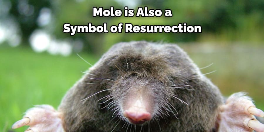 Mole is Also a Symbol of Resurrection