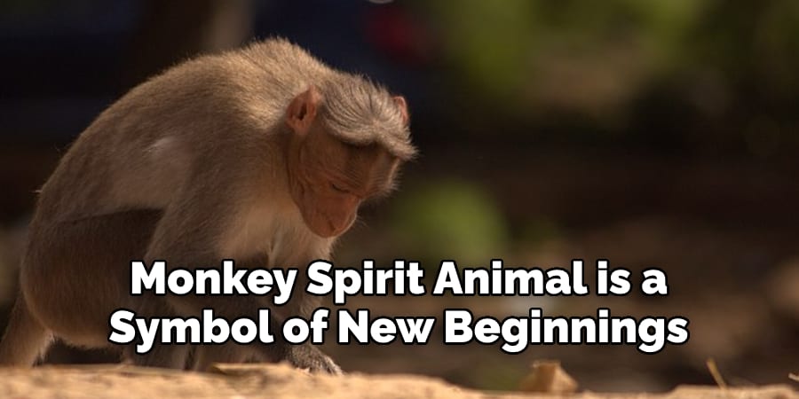 Monkey Spirit Animal is a  Symbol of New Beginnings