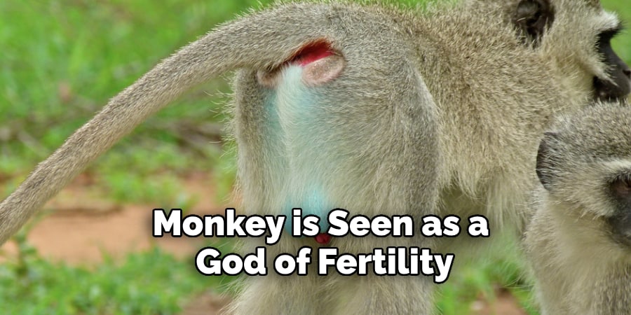 Monkey is Seen as a  God of Fertility