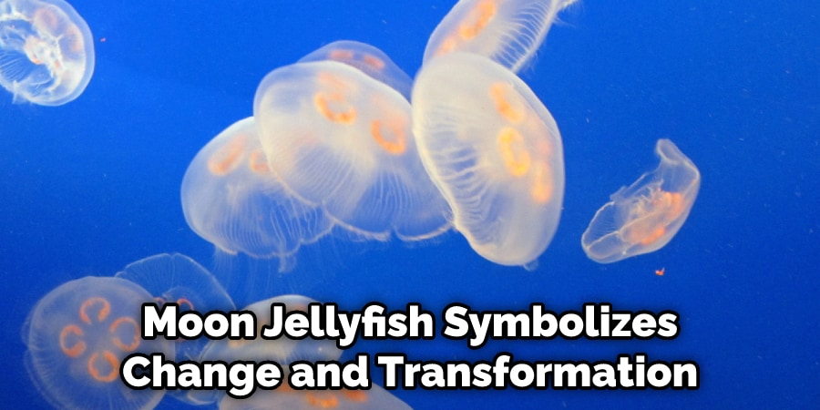  Moon Jellyfish Symbolizes Change and Transformation