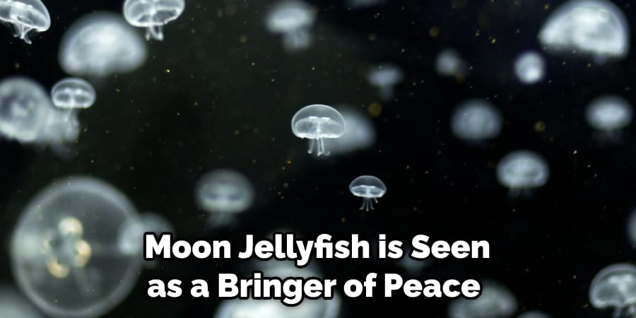  Moon Jellyfish is Seen as a Bringer of Peace