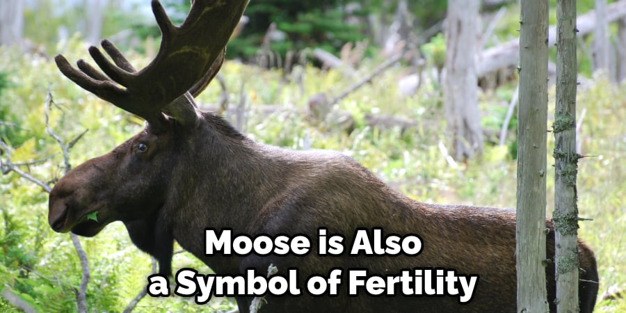 Moose is Also a Symbol of Fertility