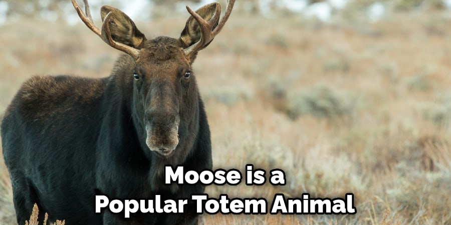 Moose is a Popular Totem Animal