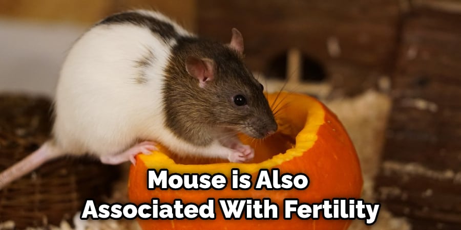 Mouse is Also Associated With Fertility