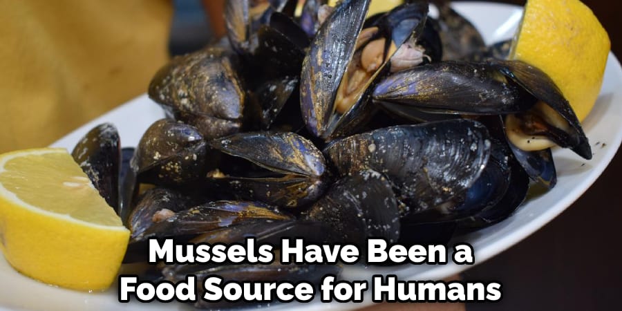 Mussels Have Been a Food Source for Humans 