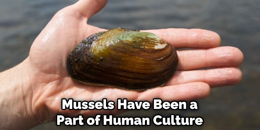 Mussels Have Been a Part of Human Culture 