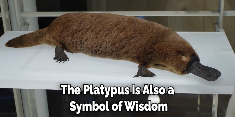 The Platypus is Also a  Symbol of Wisdom