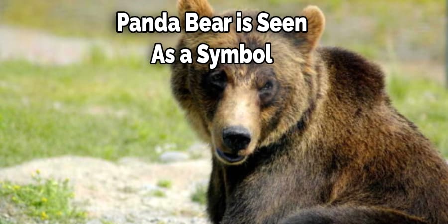  Panda Bear is Seen  As a Symbol