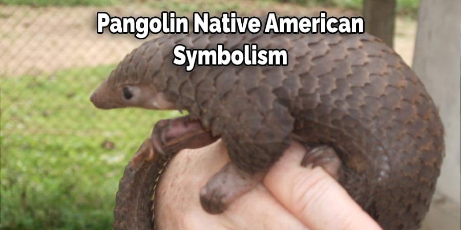 Pangolin Native American Symbolism