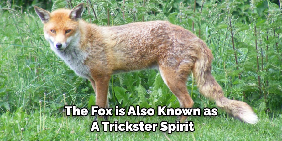 The Fox is Also Known as  A Trickster Spirit
