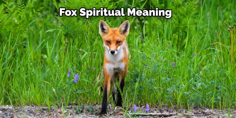 Fox Spiritual Meaning