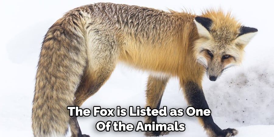 The Fox is Listed as One  Of the Animals