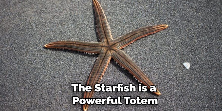 The Starfish is a  Powerful Totem