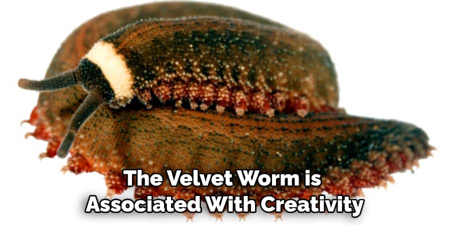 The Velvet Worm is  Associated With Creativity