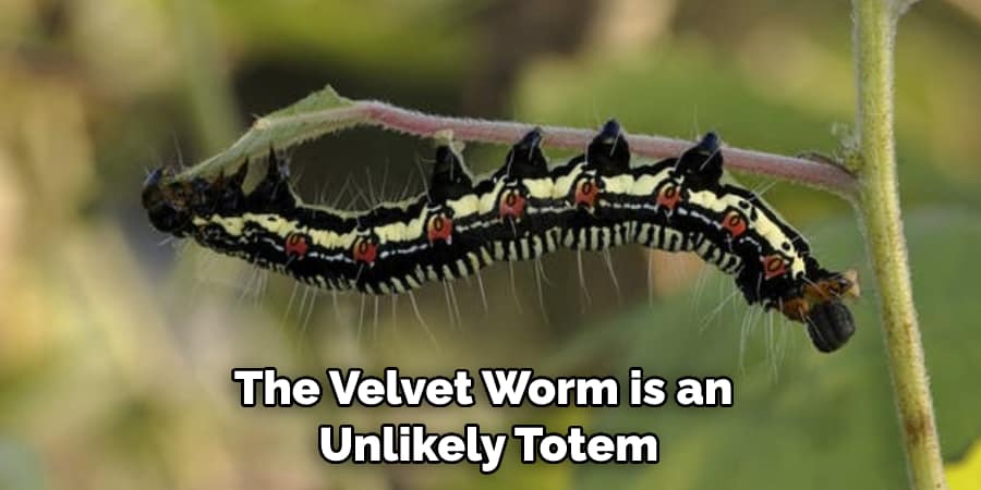 The Velvet Worm is an  Unlikely Totem