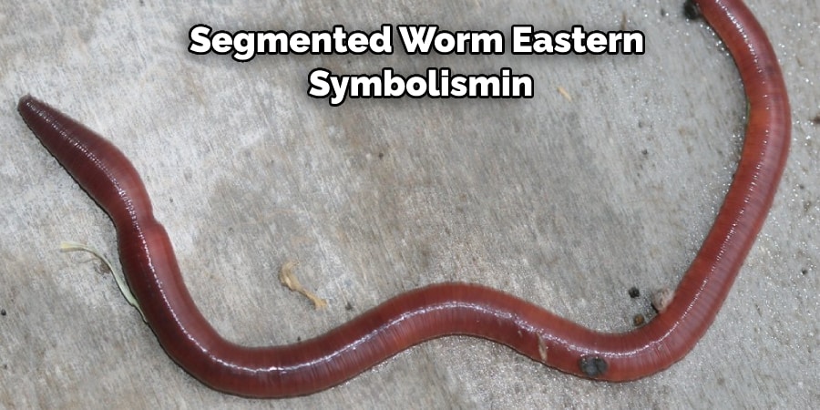 Segmented Worm Eastern  Symbolismin