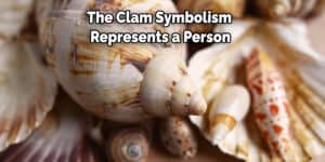 Clam Spiritual Meaning, Symbolism, and Totem | Detailed Guide