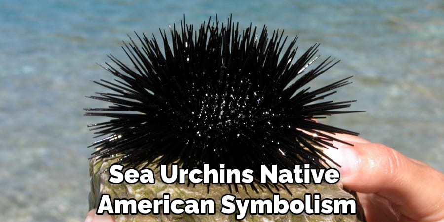 Sea Urchins Native  American Symbolism