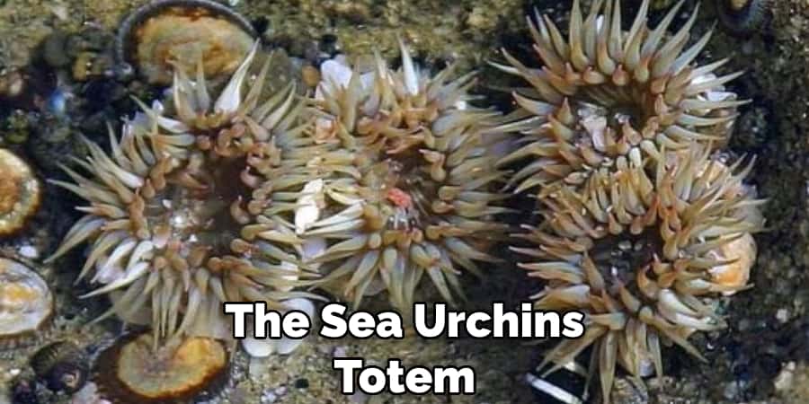 The Sea Urchins Totem 