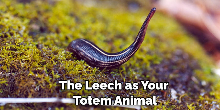 The Leech as Your  Totem Animal